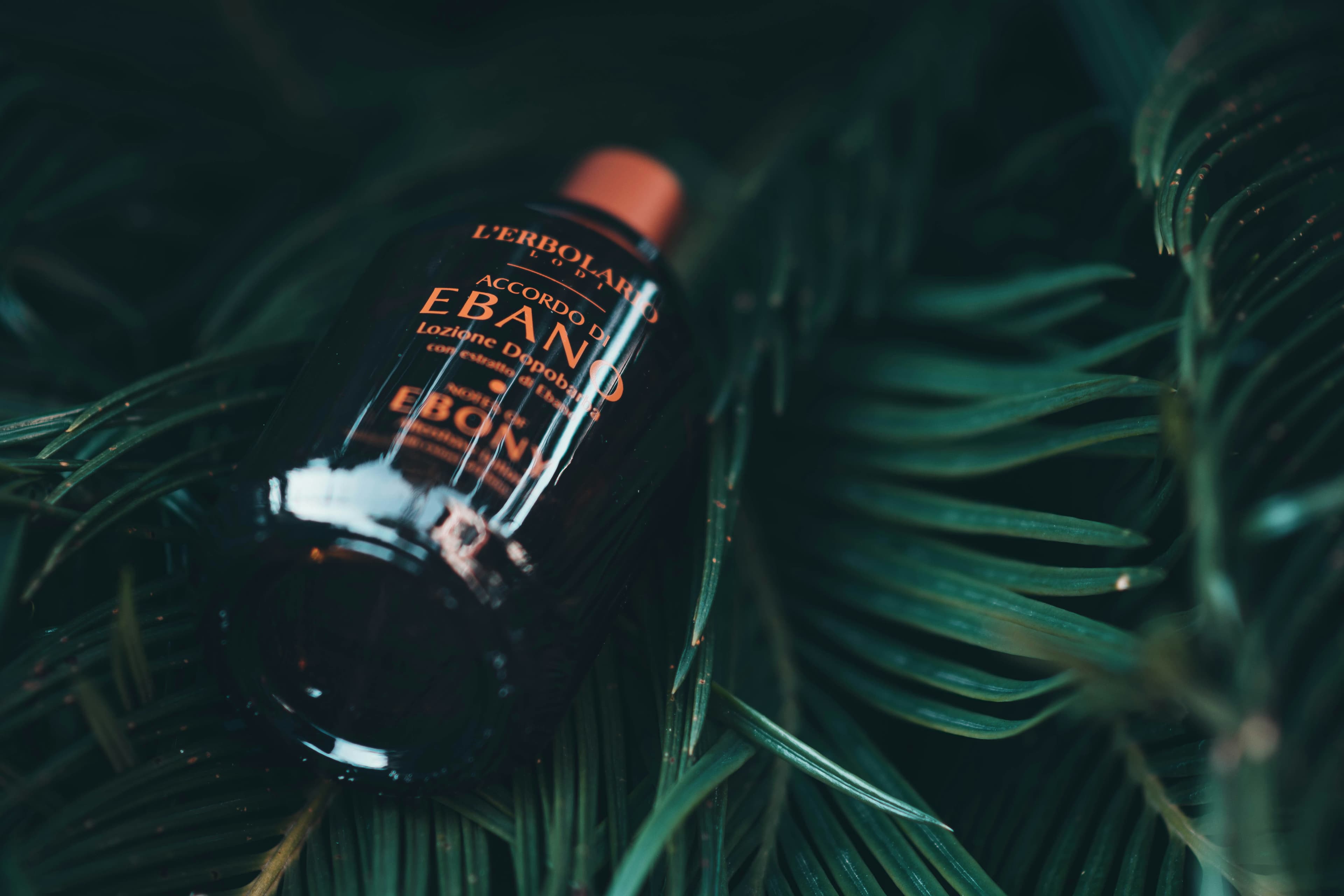 Evan Williams Bottled-in-Bond, image 1 of 1