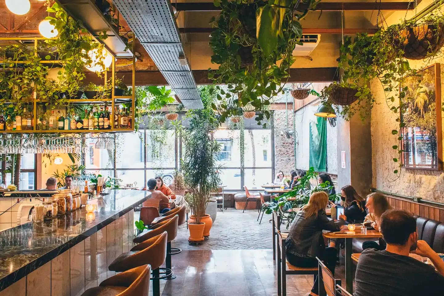 BotaniKafé, image 1 of 1
