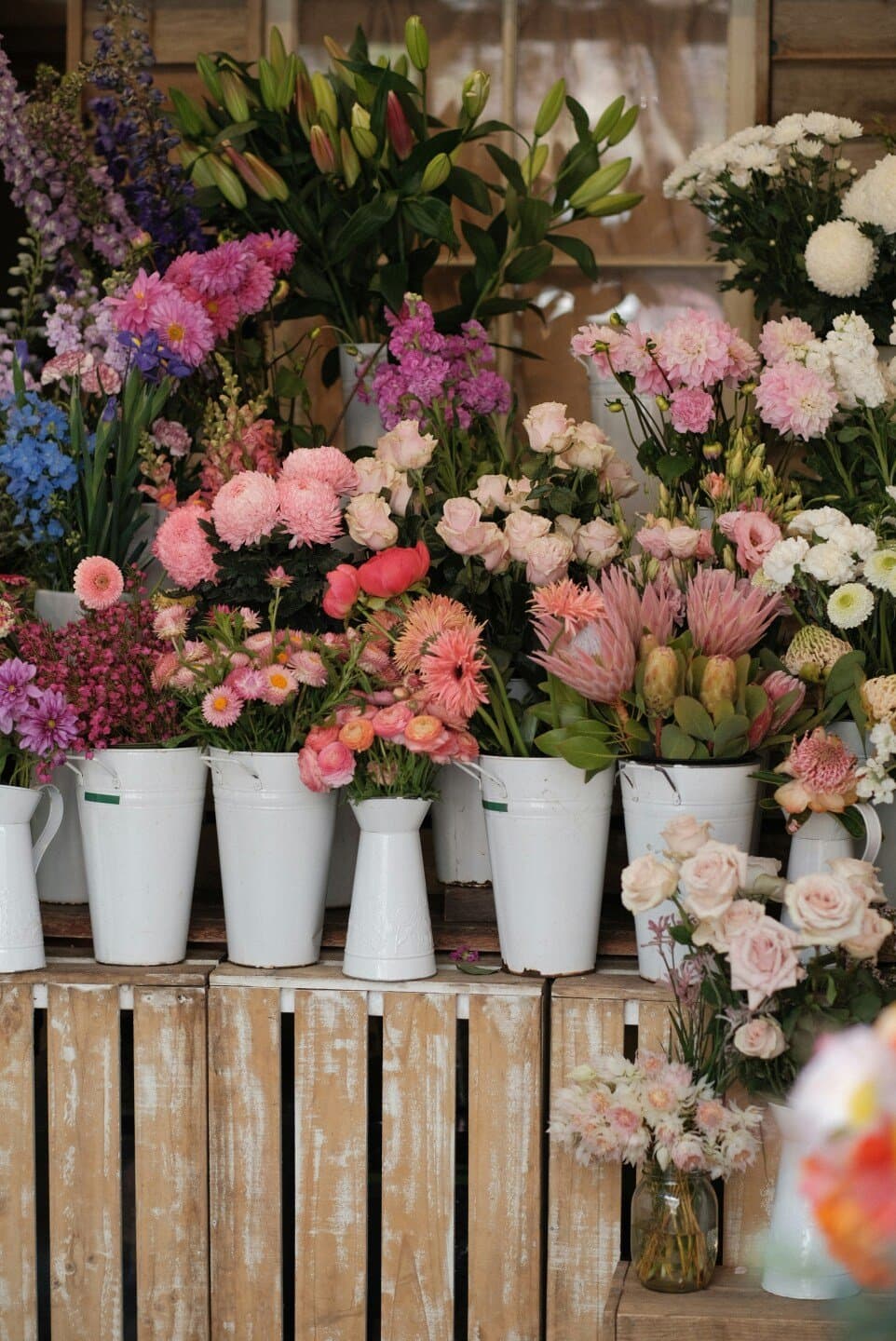 The Flower Pot, image 1 of 1