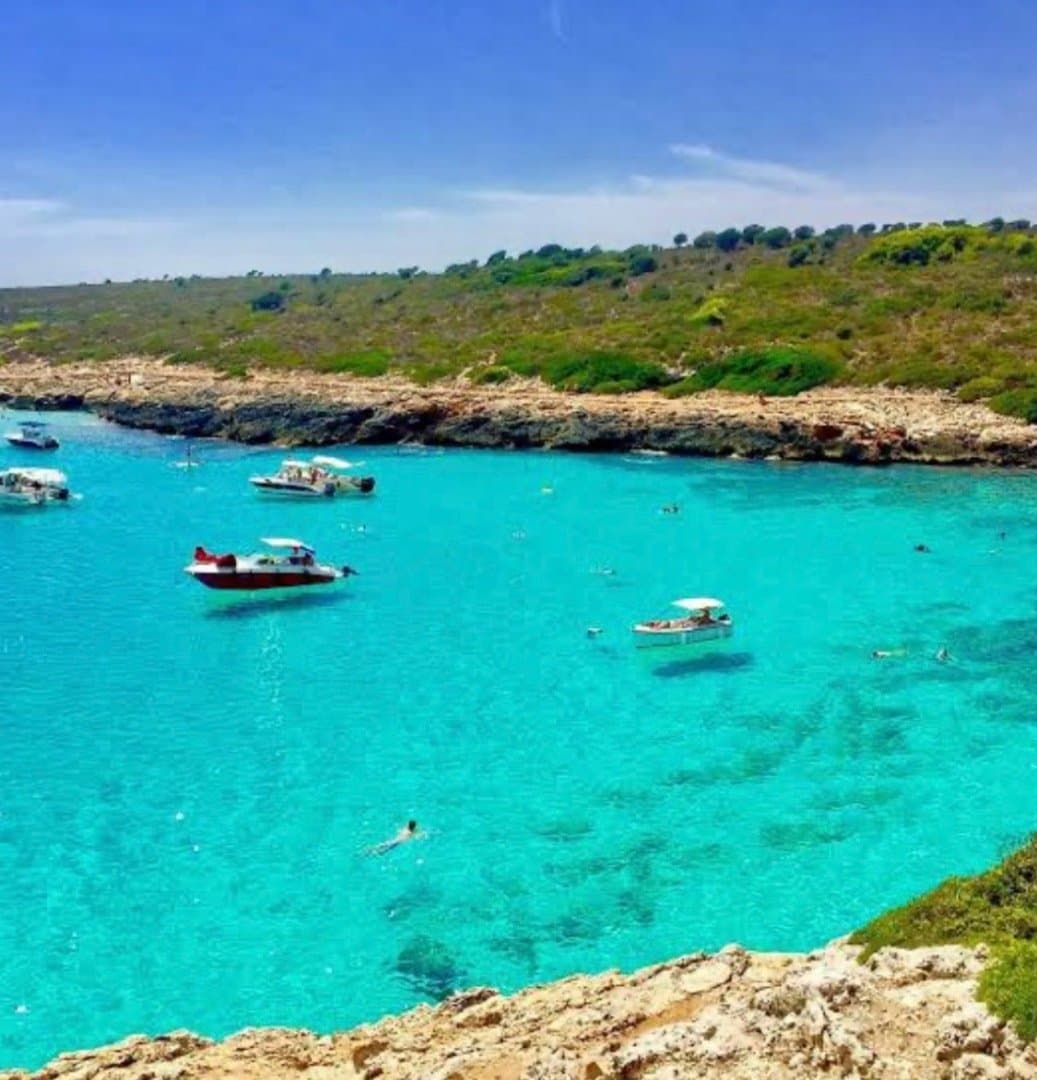 Cala Vasques, image 1 of 1