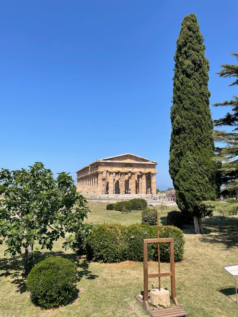 Paestum, image 1 of 1