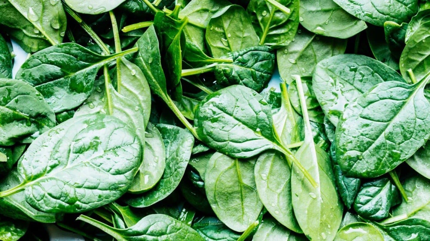 Spinach, image 1 of 1