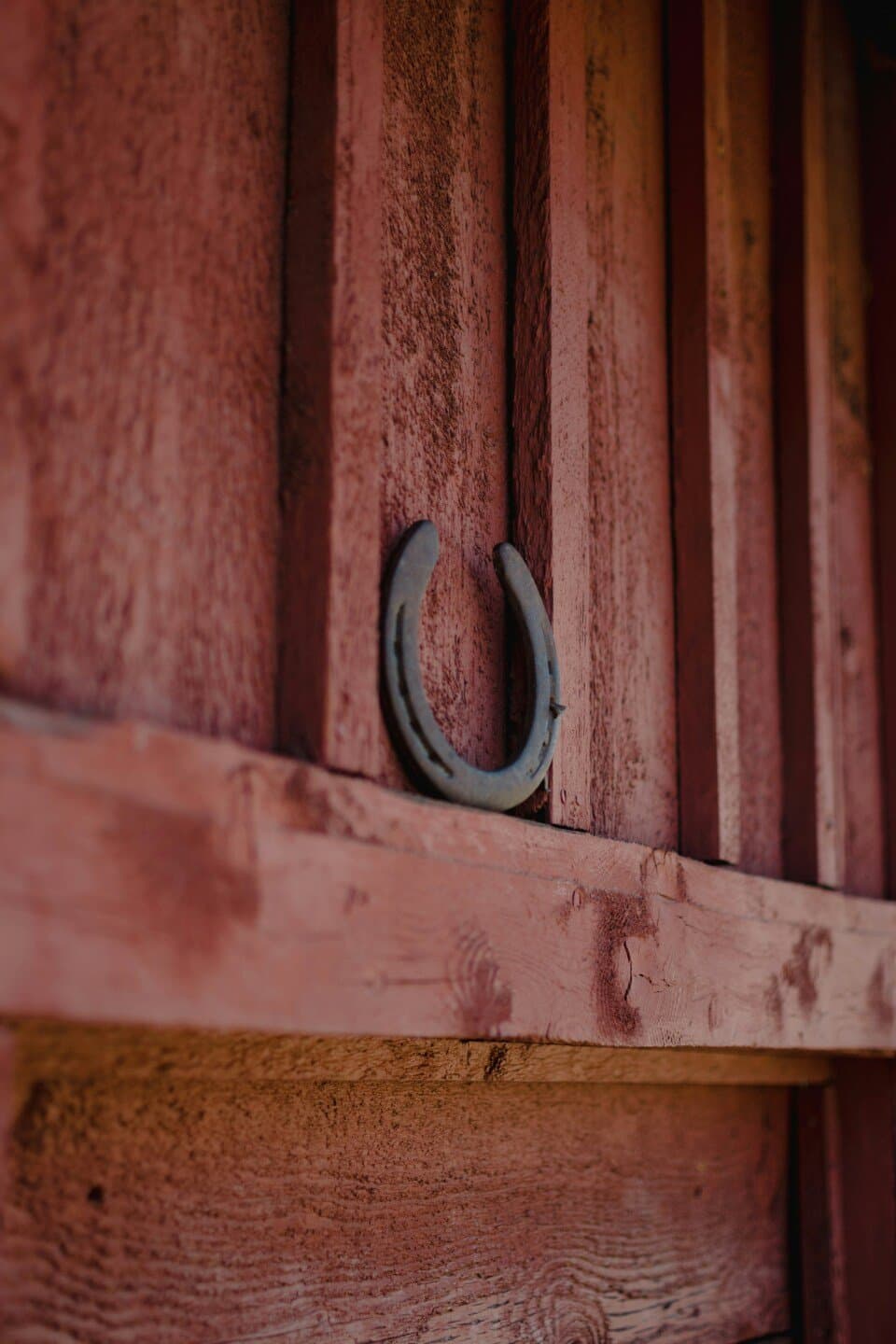 The Lucky Horseshoe, image 1 of 1