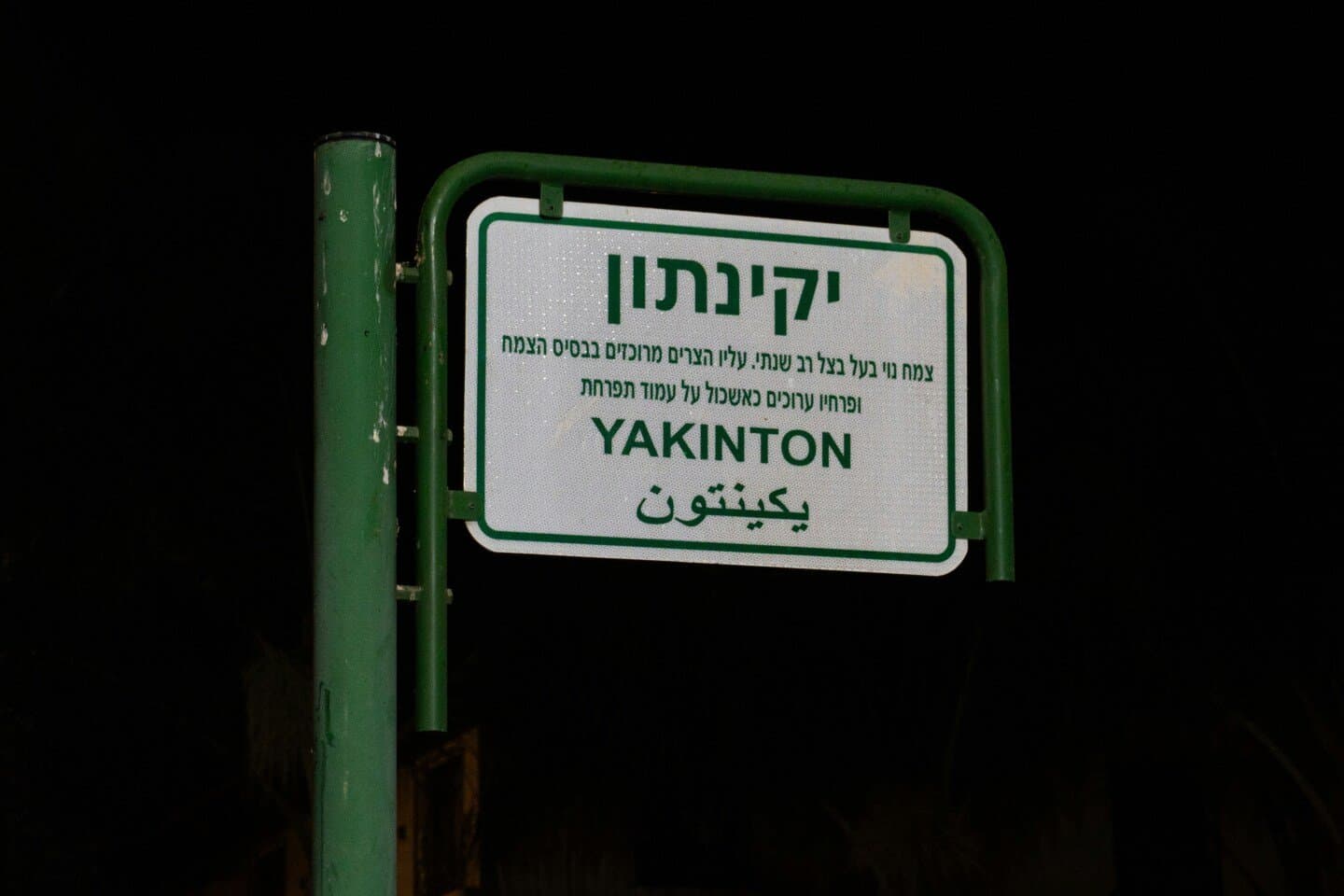 מייקלסון גלריה לאמנות שימושית, image 1 of 1
