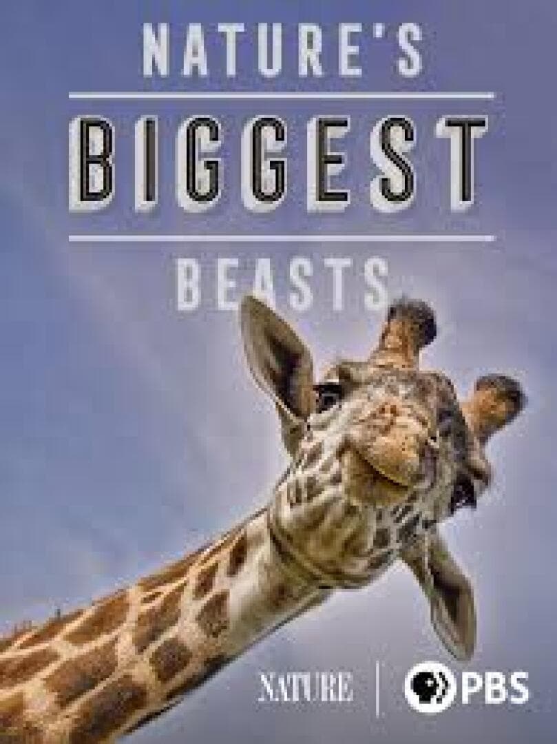 Nature’s Biggest Beasts, image 1 of 1