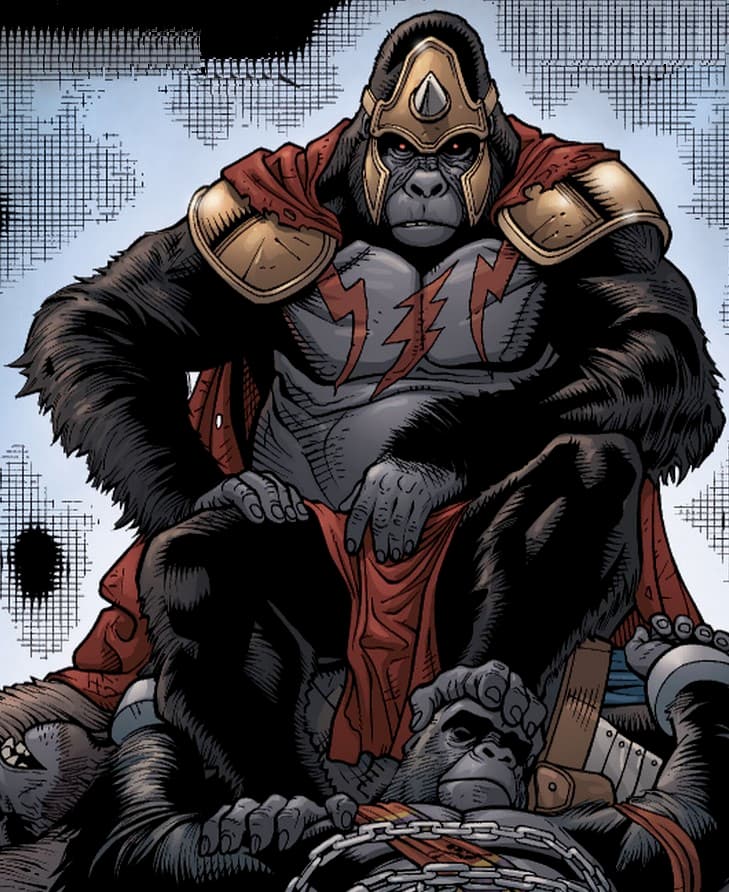 Gorilla Grodd, image 1 of 1