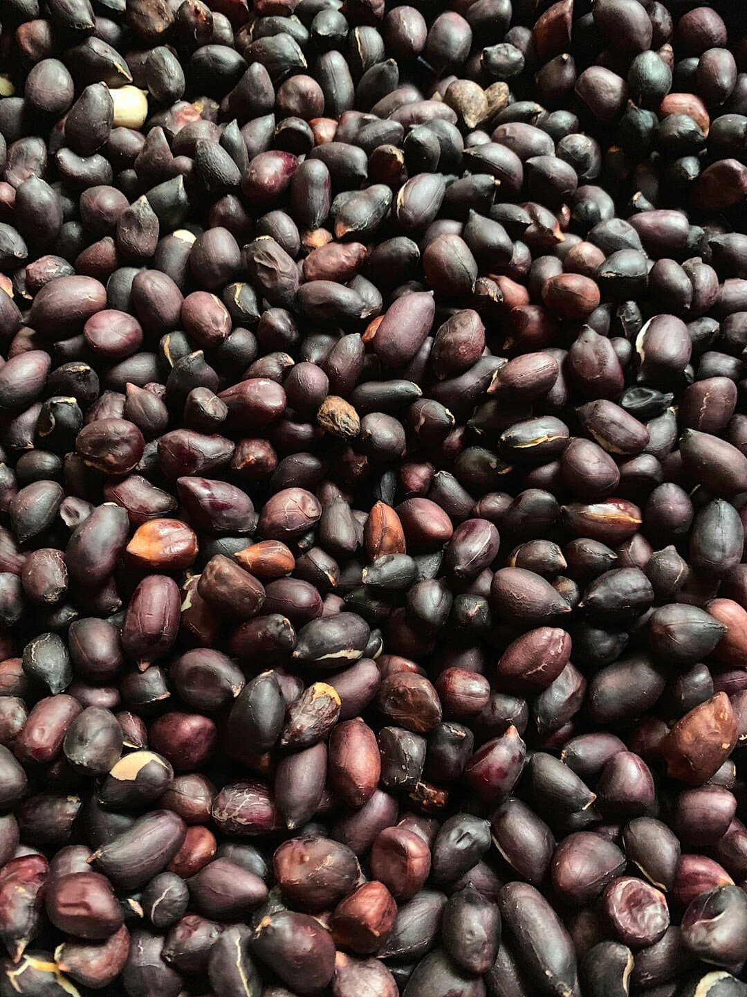 Maní, image 1 of 1