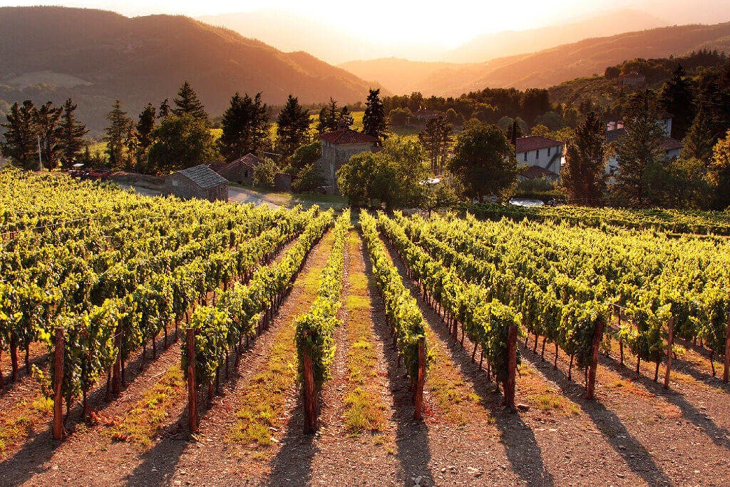 Marchesi de' Frescobaldi, image 1 of 1