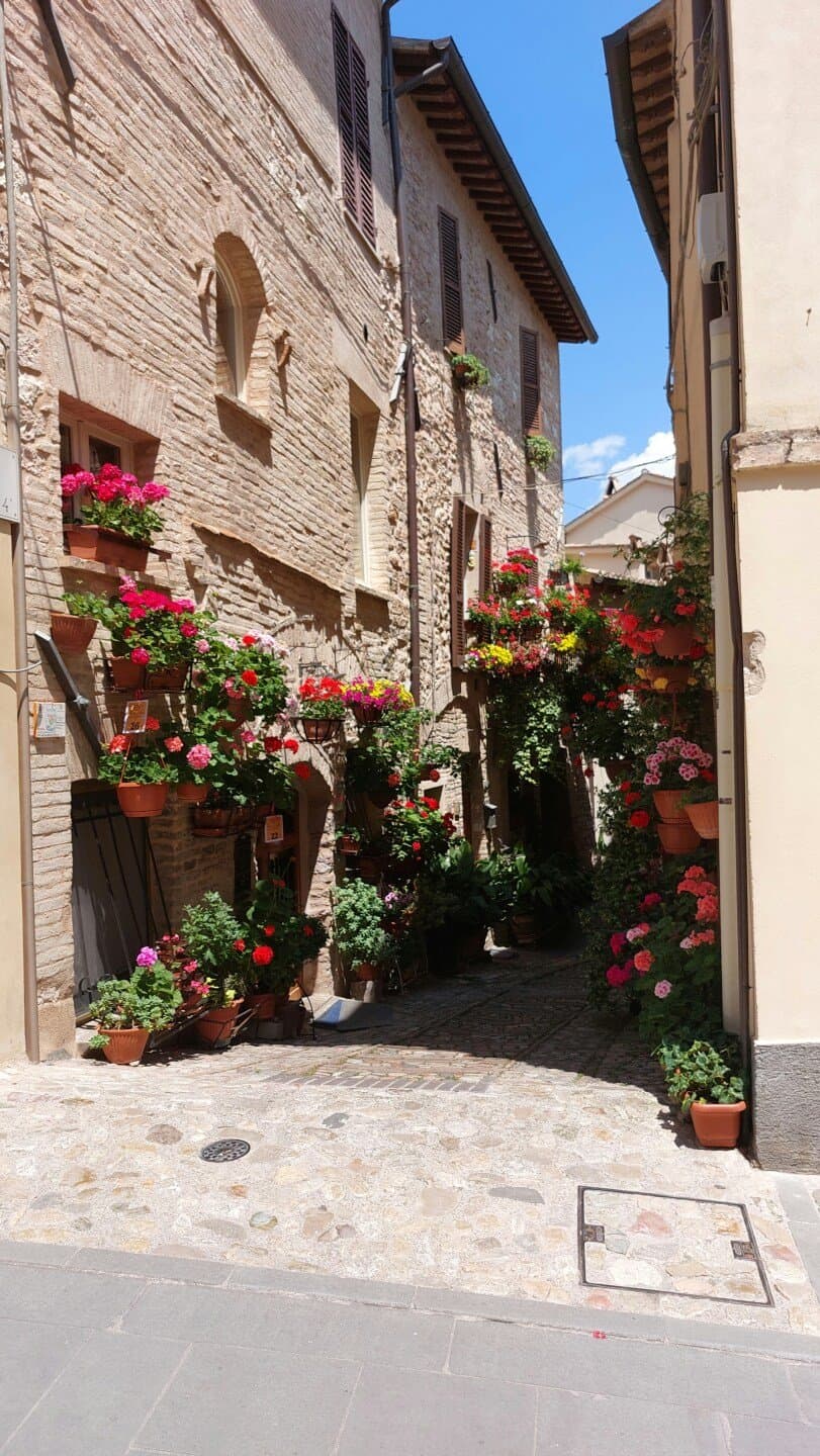 Borgo, image 1 of 1