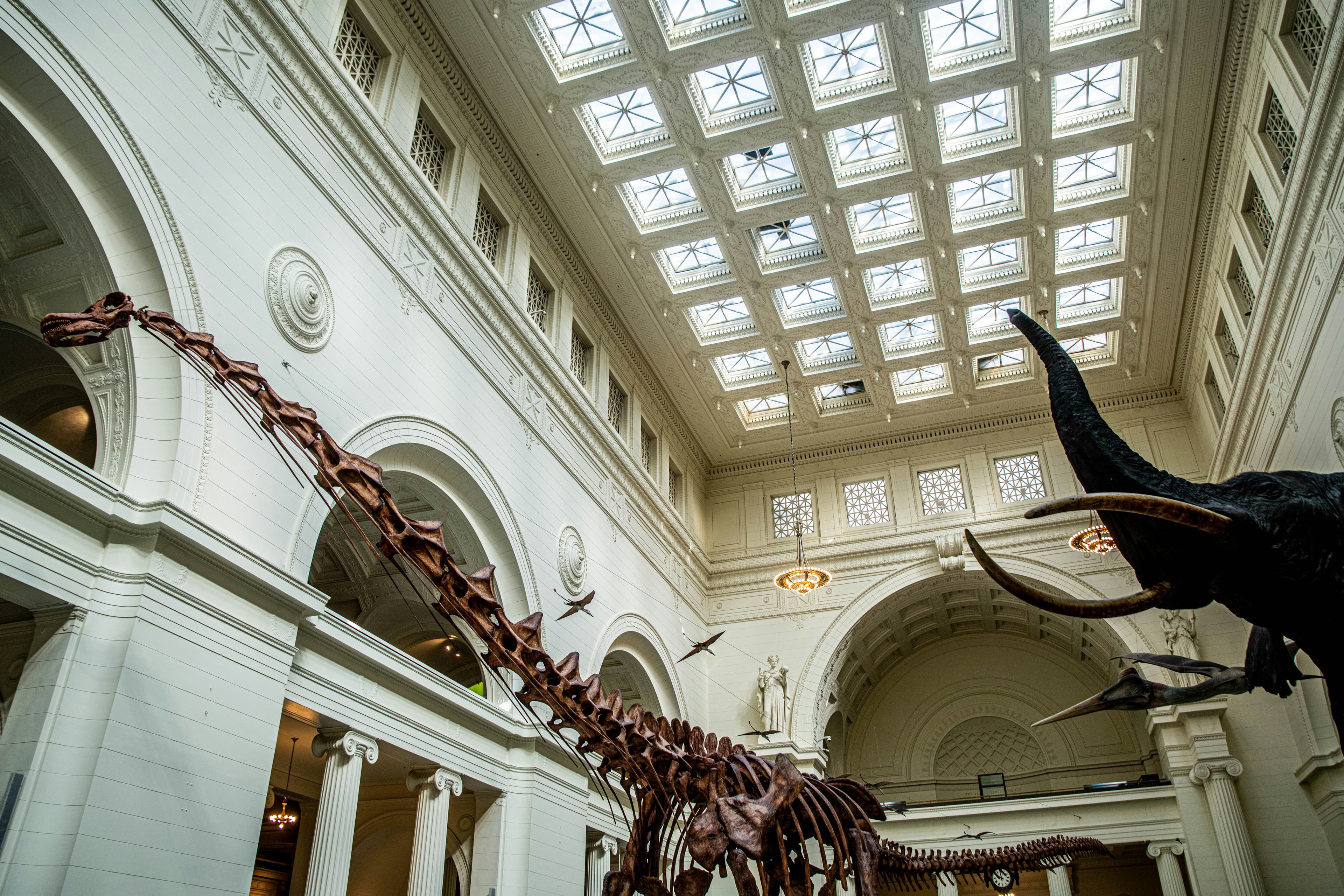 Chicago History Museum, image 1 of 1