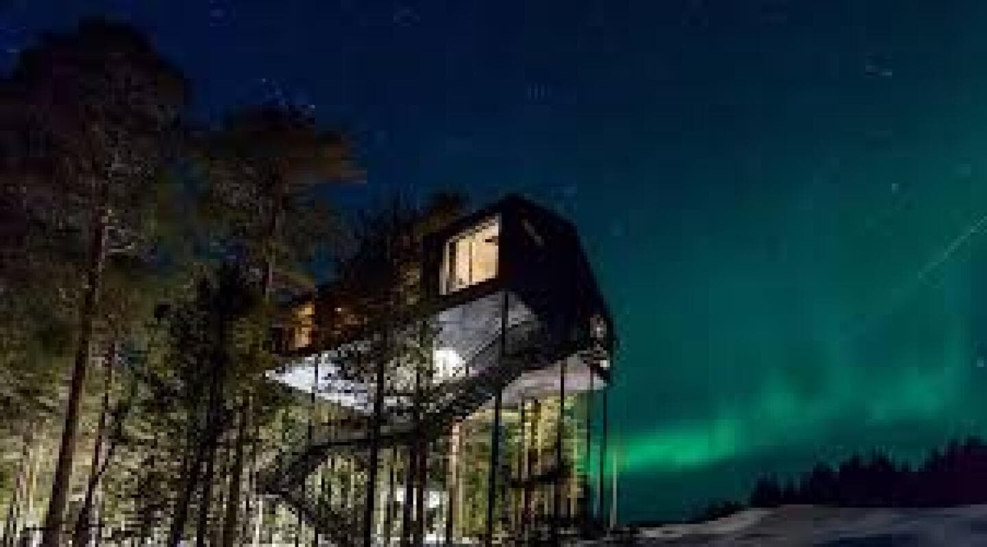 Treehotel, image 1 of 1