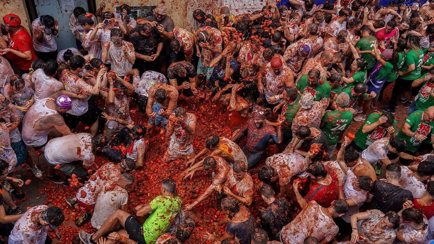 La Tomatina, image 1 of 1