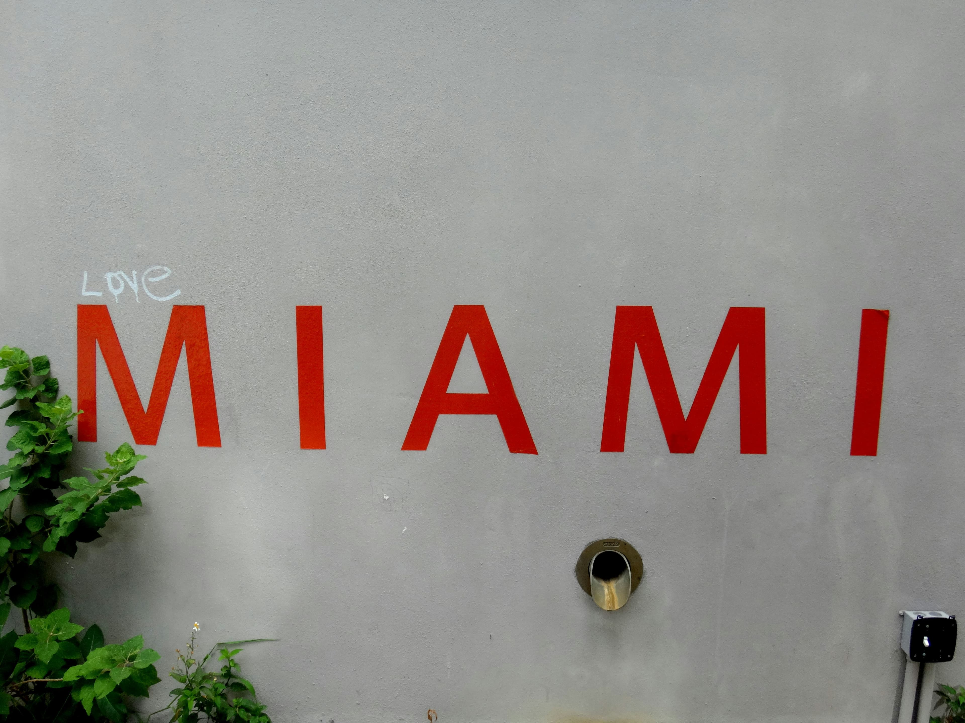 Institute of Contemporary Art, Miami (ICA), image 1 of 1