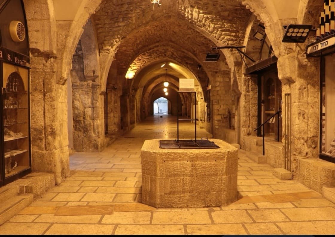 O Cardo, image 1 of 1