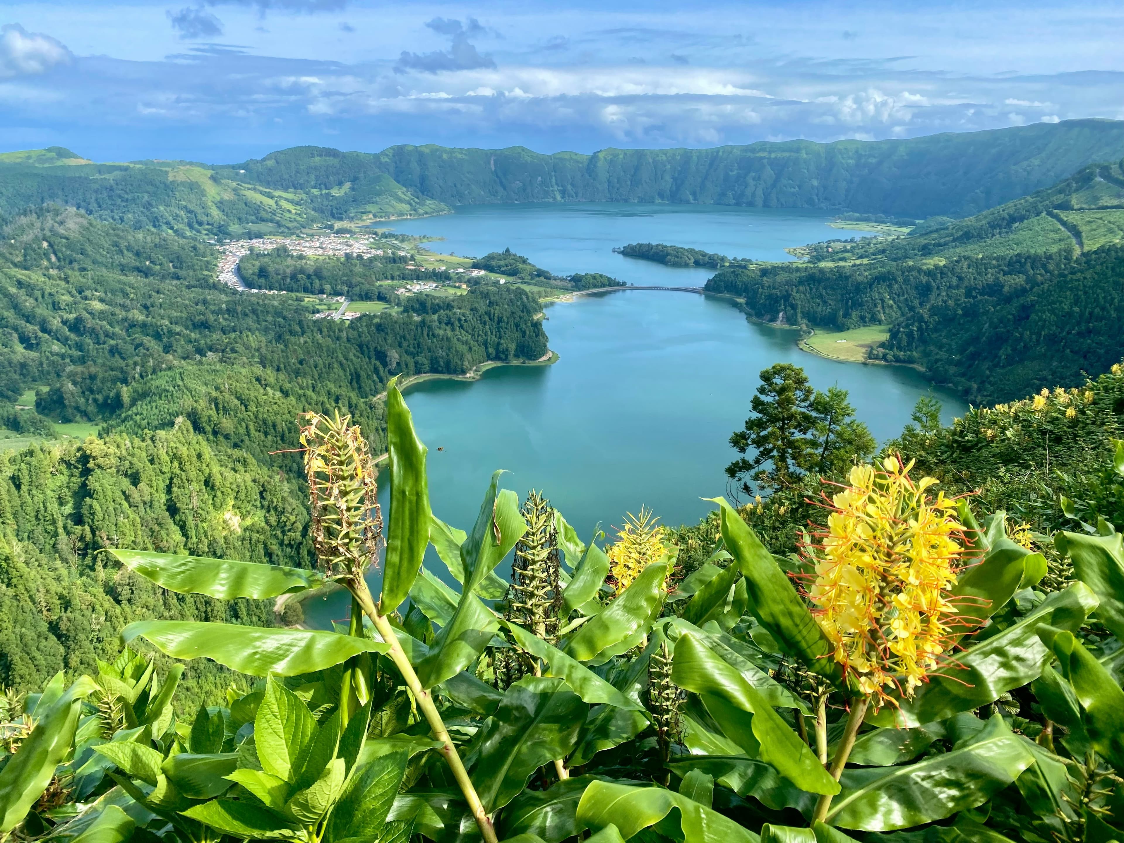 Mistura Fina, image 1 of 1