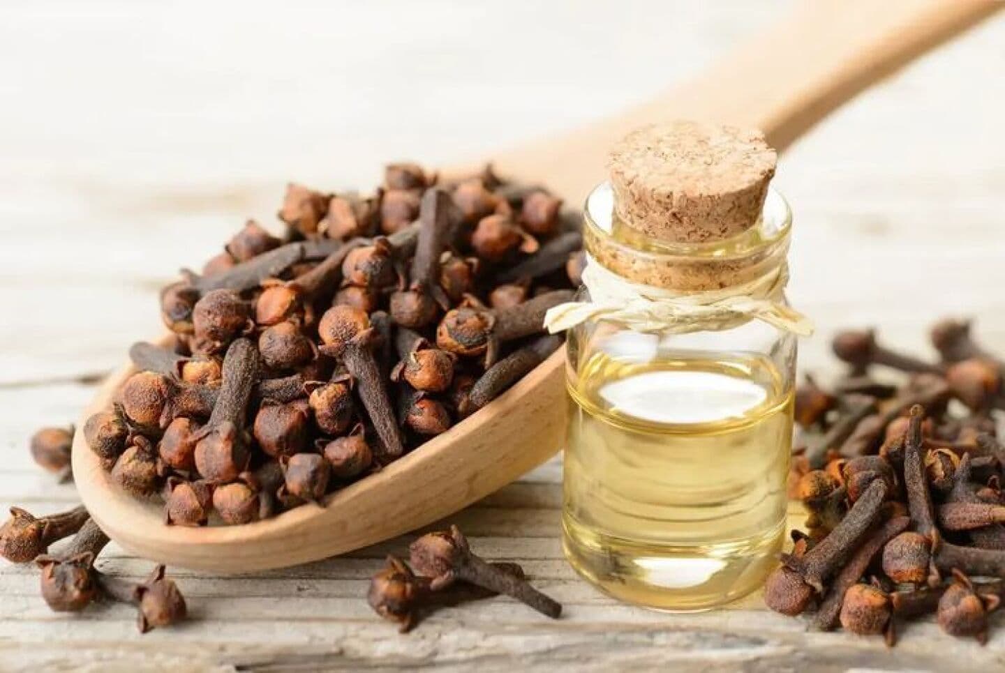 Clove, image 1 of 1