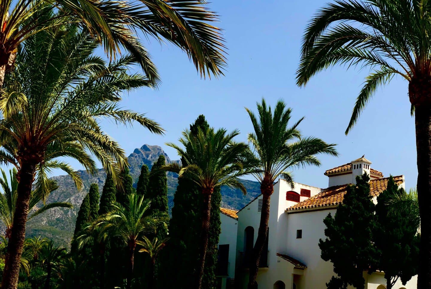 Nicolas Marbella, image 1 of 1