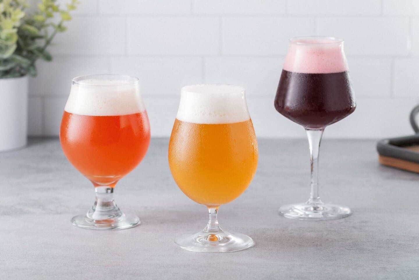Sour Ale, image 1 of 1
