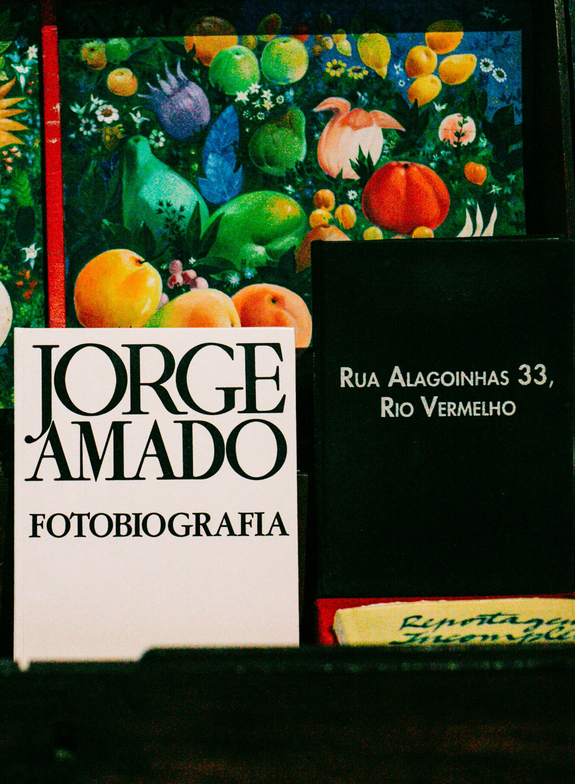 Artur Fidalgo Galeria, image 1 of 1