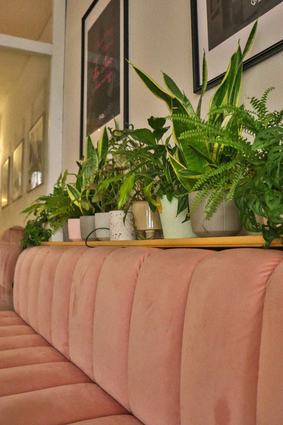 Sofá Café Pinheiros, image 1 of 1
