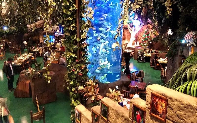 Rainforest Cafe, image 1 of 1