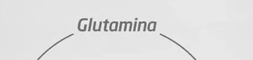 Glutamina, image 1 of 1
