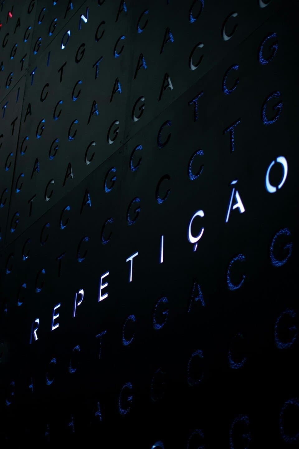 Museu do Amanhã, image 1 of 1