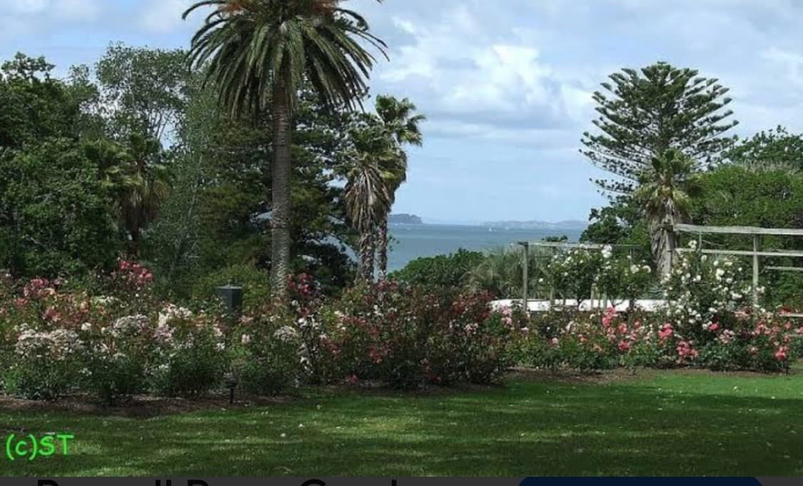 Jardim de Parnell, image 1 of 1