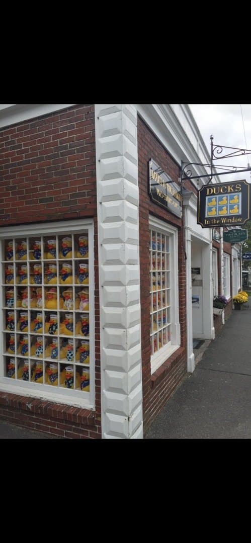 USA (Cape Cod), image 1 of 1