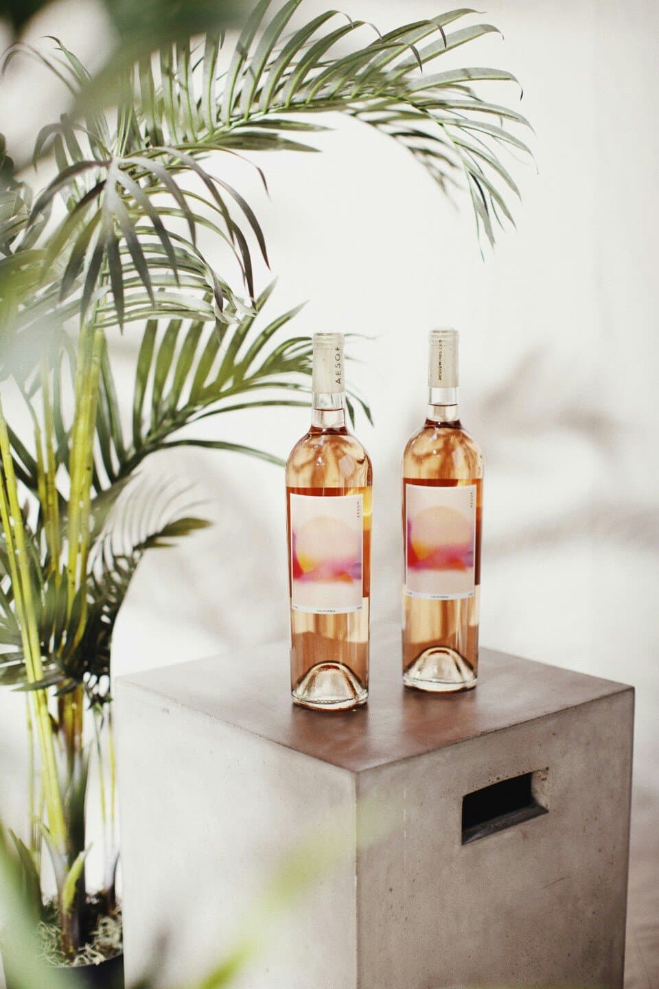 Domaine Tempier Bandol Ros\u00e9, image 1 of 1