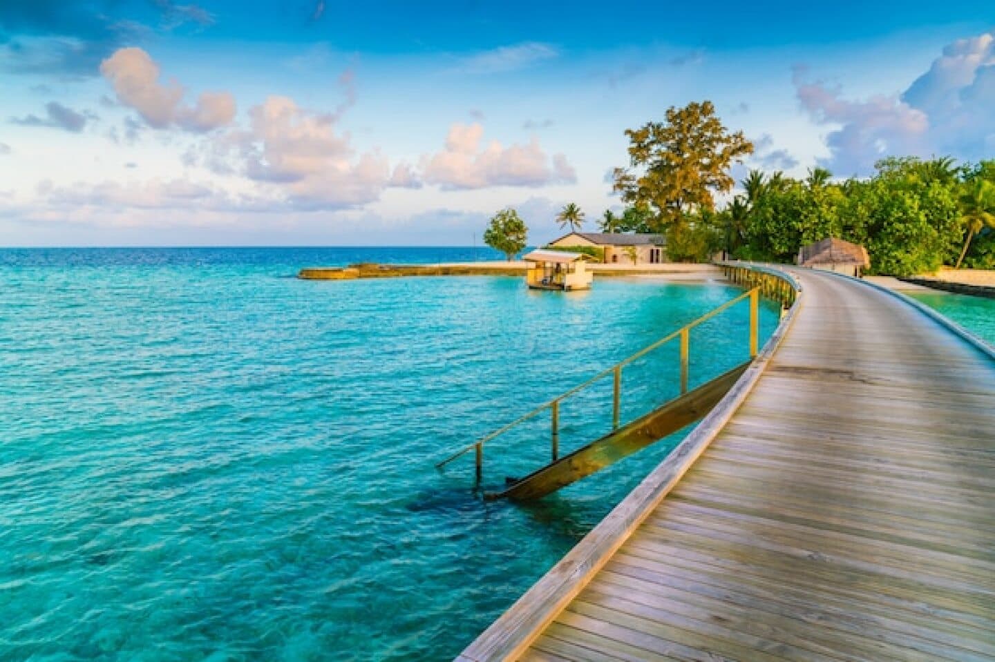 Maldives, image 1 of 1