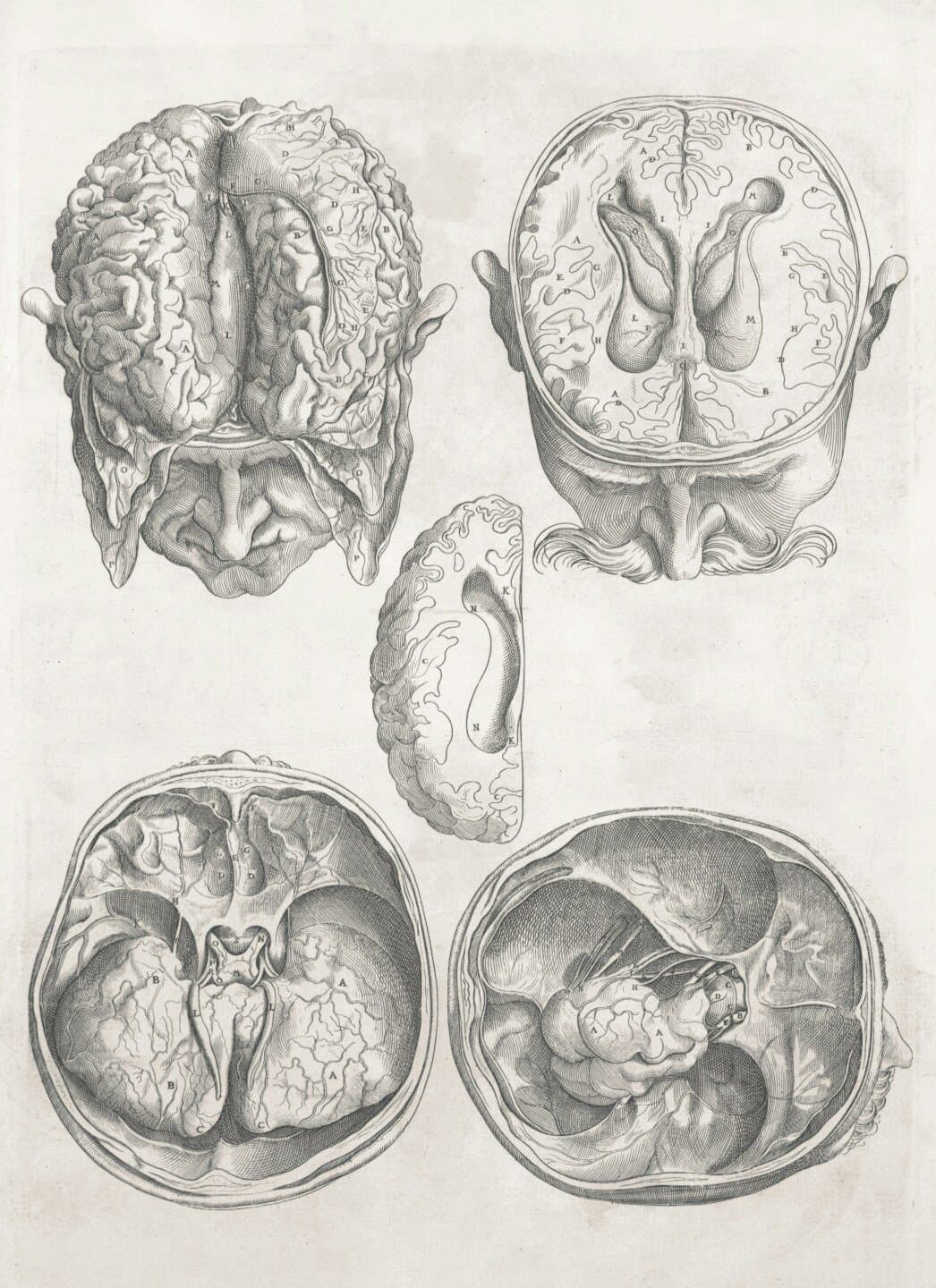 Judgment under Uncertainty: Heuristics and Biases, image 1 of 1