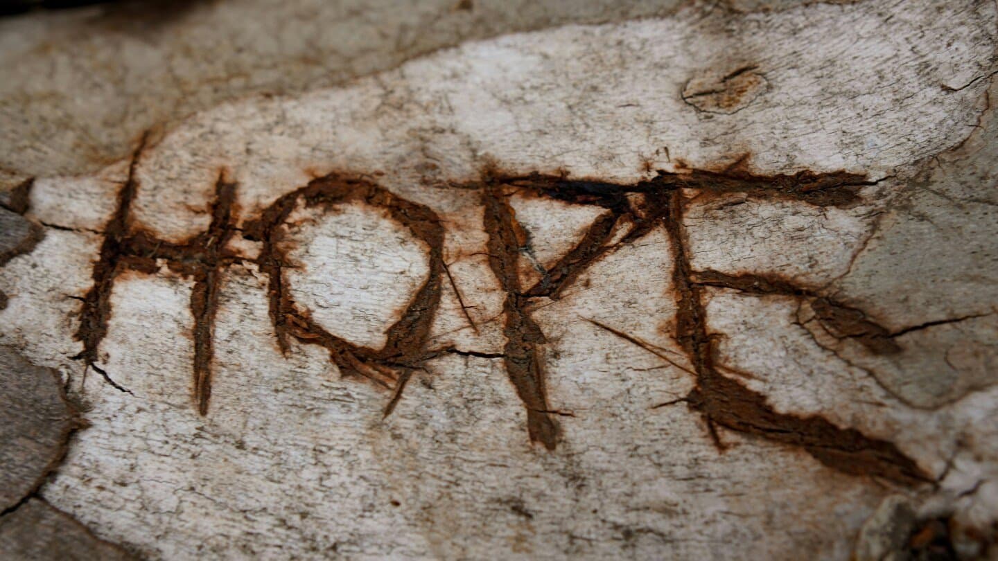 HOPE Trial, image 1 of 1