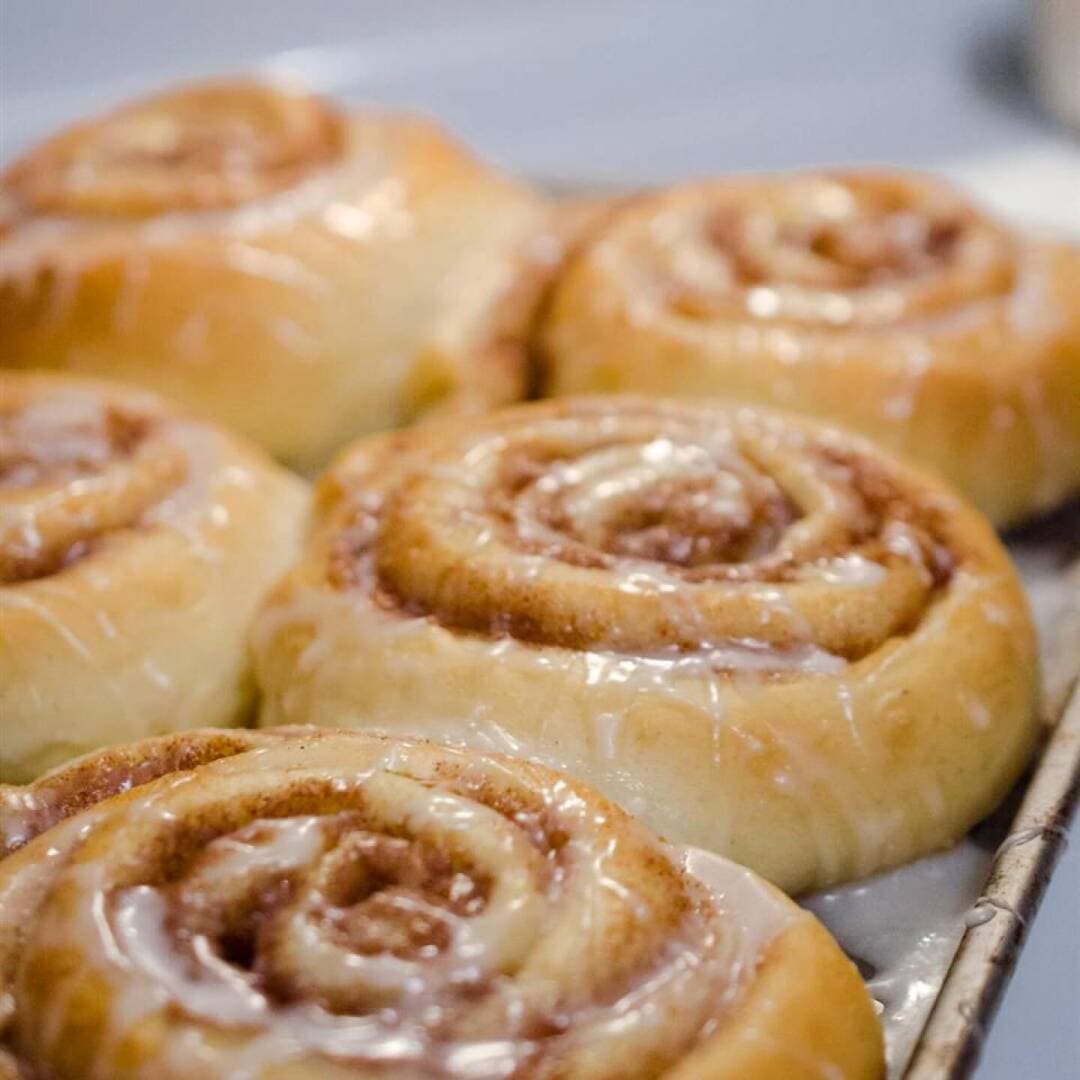 Cinnamon Snail, image 1 of 1