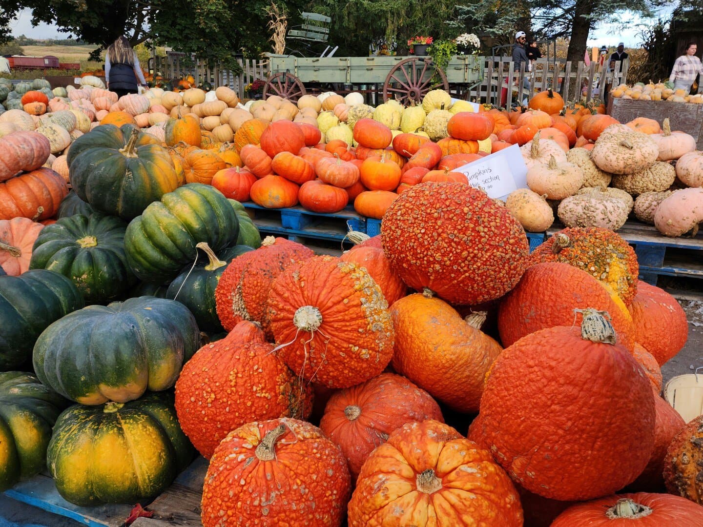 Halloween i dr Region Bern, image 1 of 1