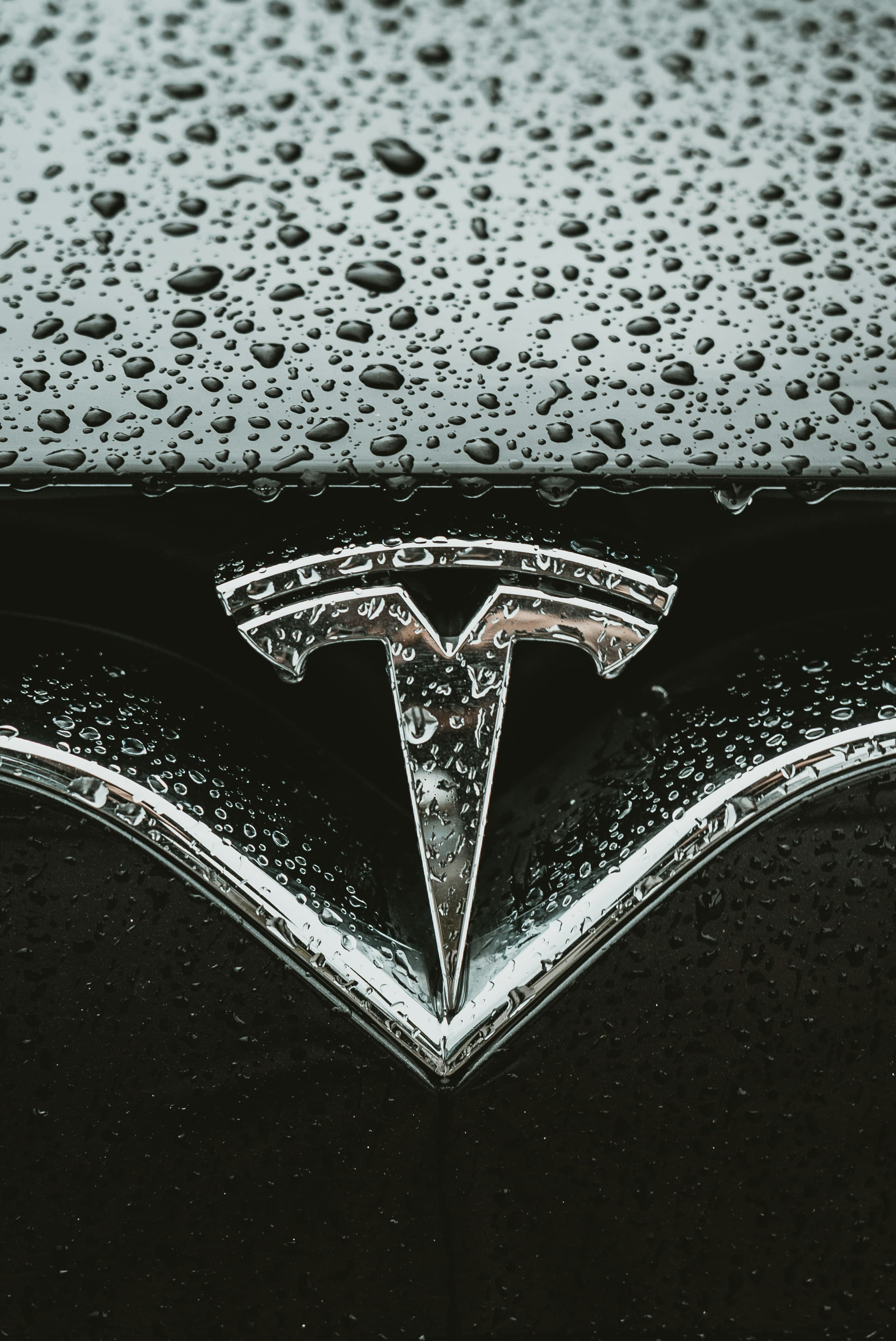 Tesla, image 1 of 1