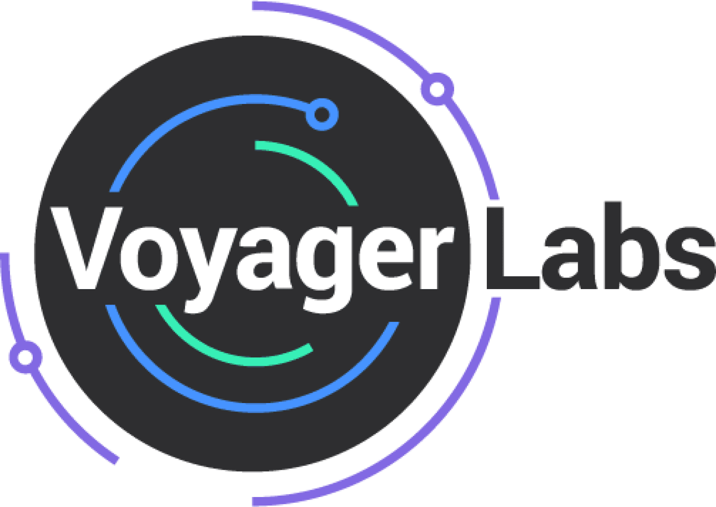 VoyagerLabs, image 1 of 1
