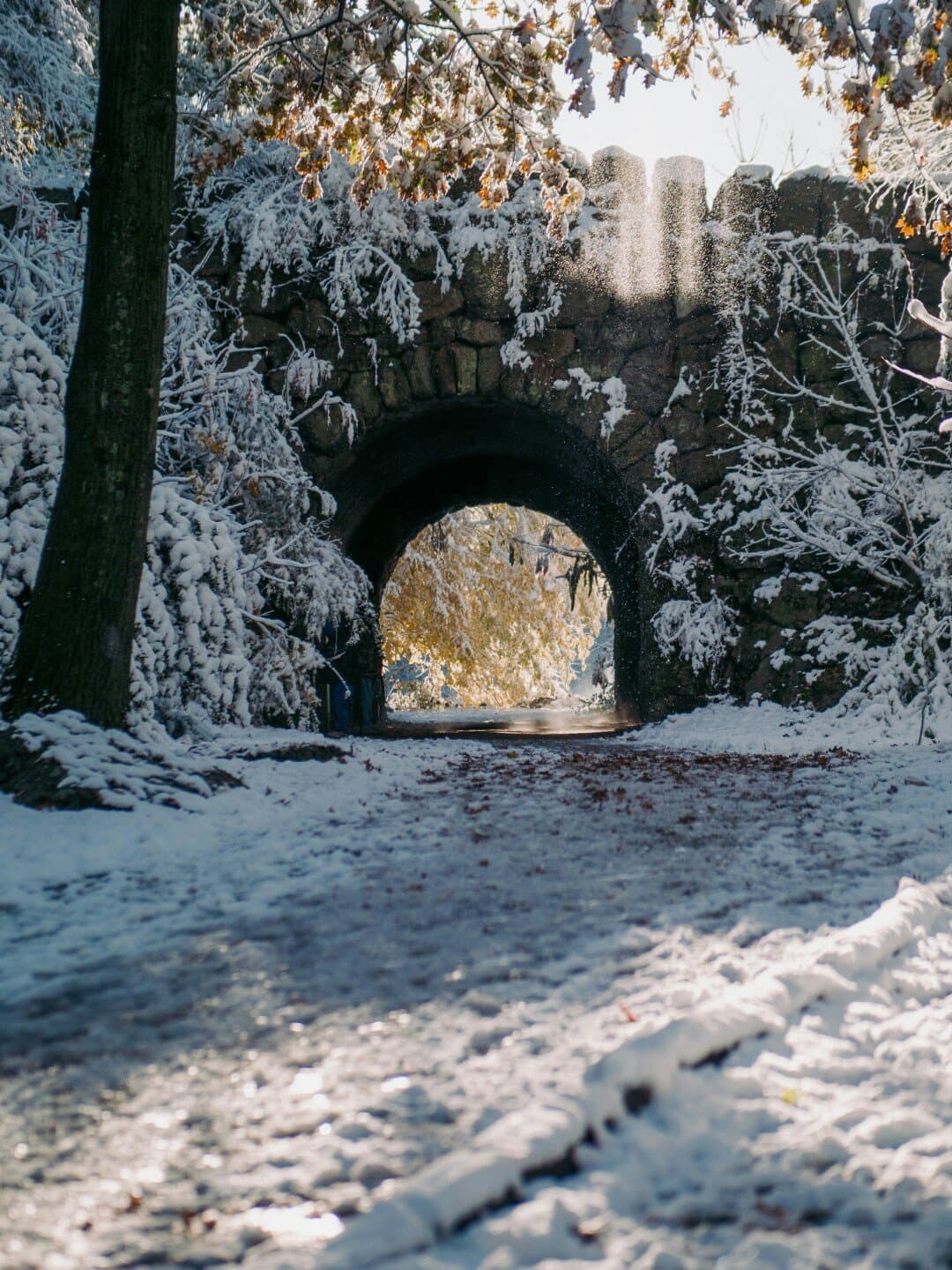 Franklin Park cross country course, image 1 of 1