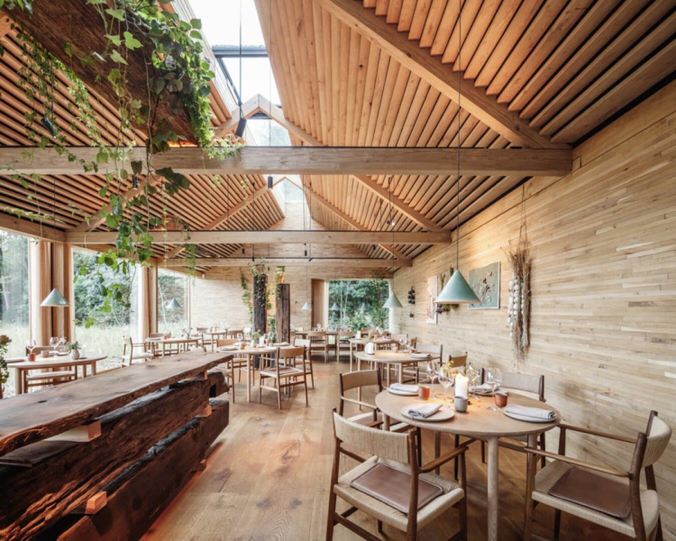 Noma, image 1 of 1