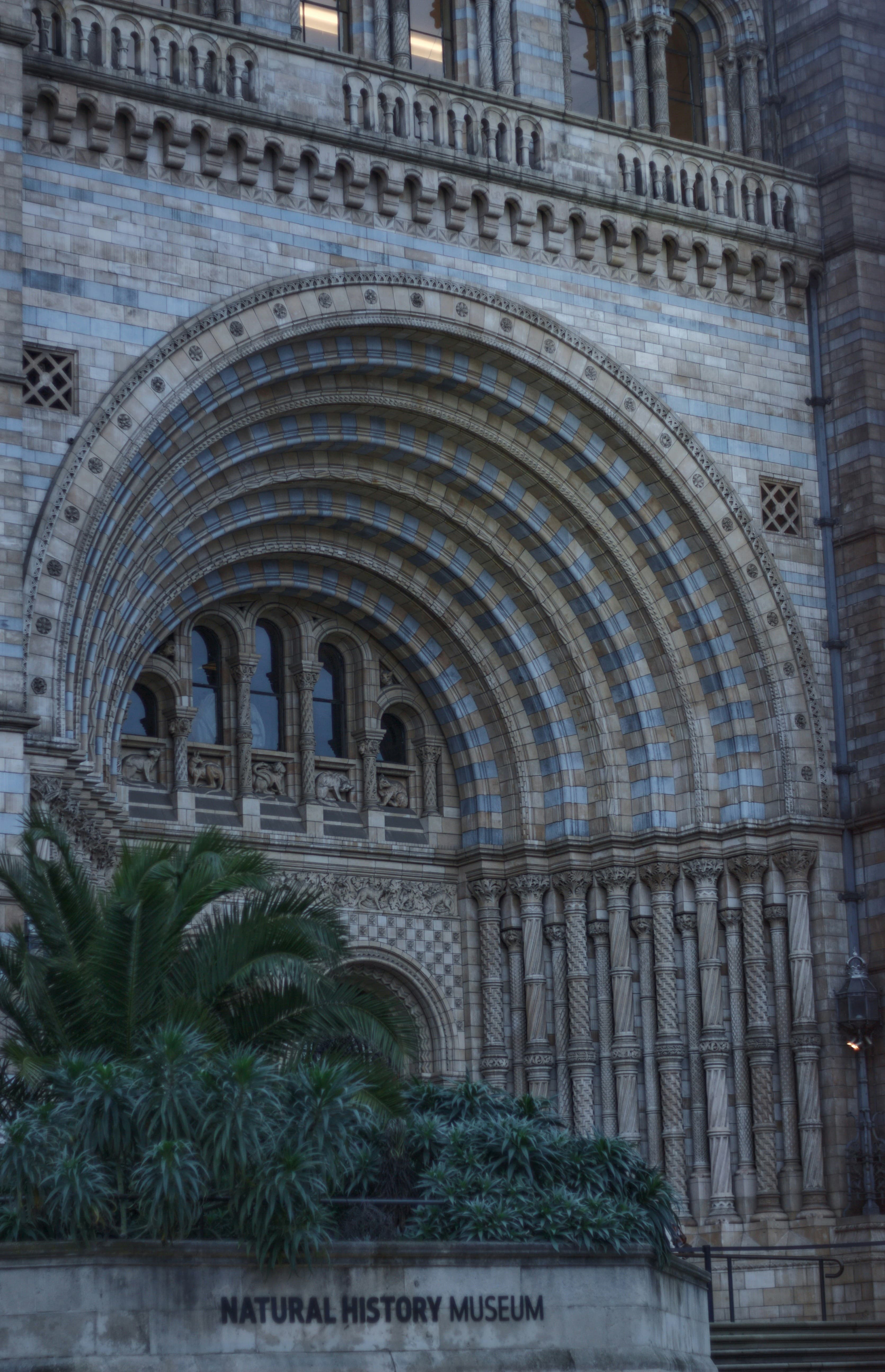 American Museum of Natural History, image 1 of 1