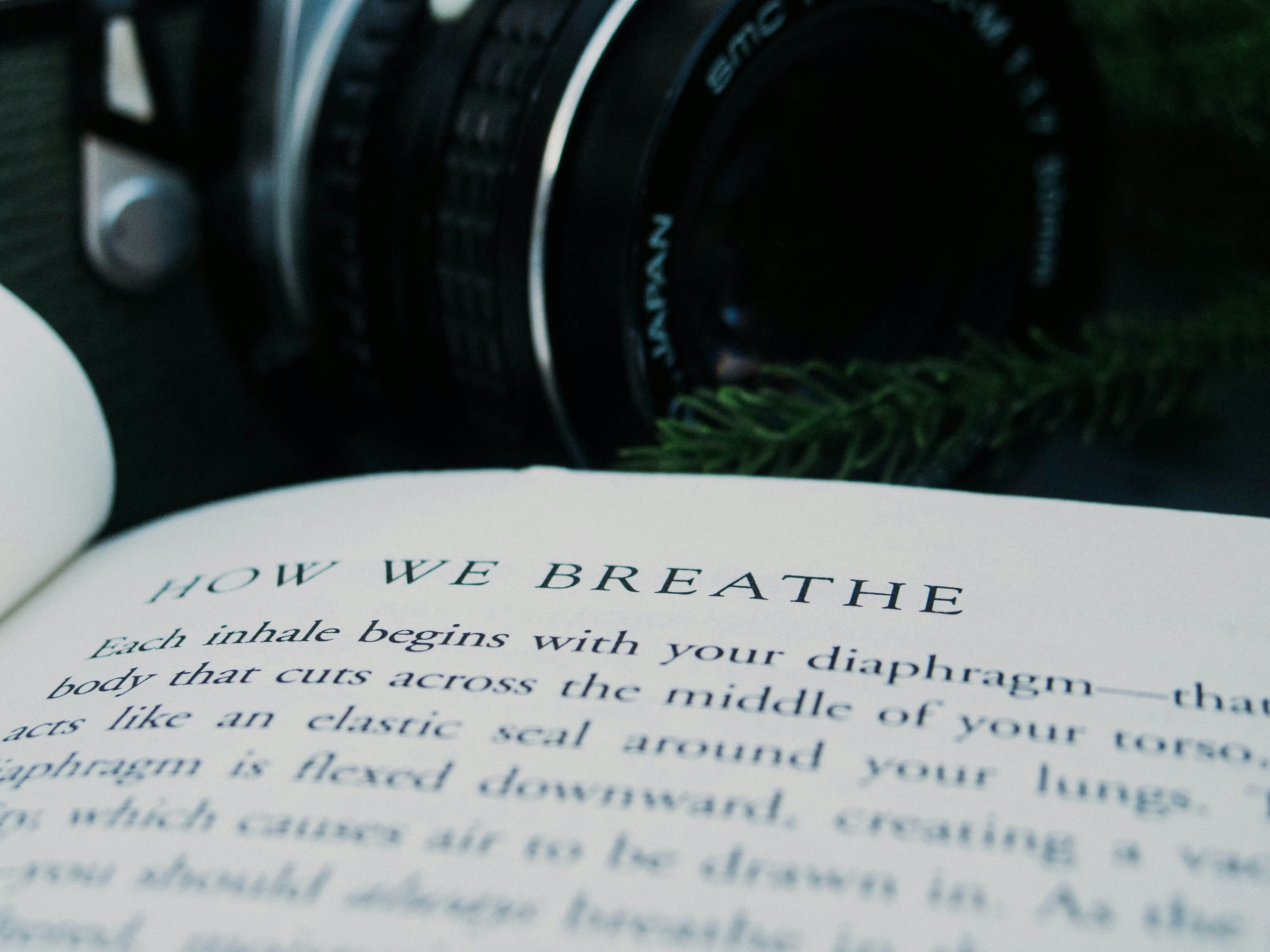 When Breath Becomes Air, image 1 of 1