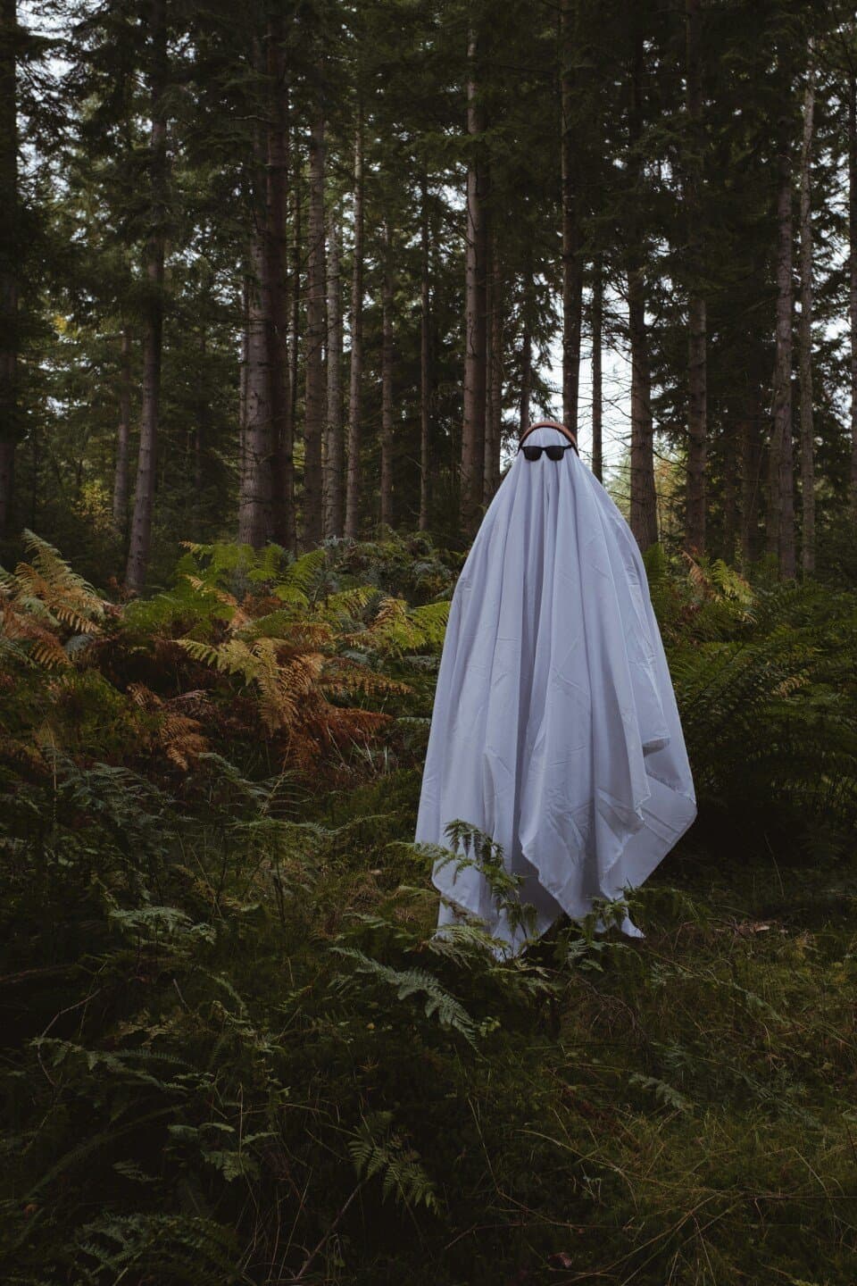 Ghosts, image 1 of 1