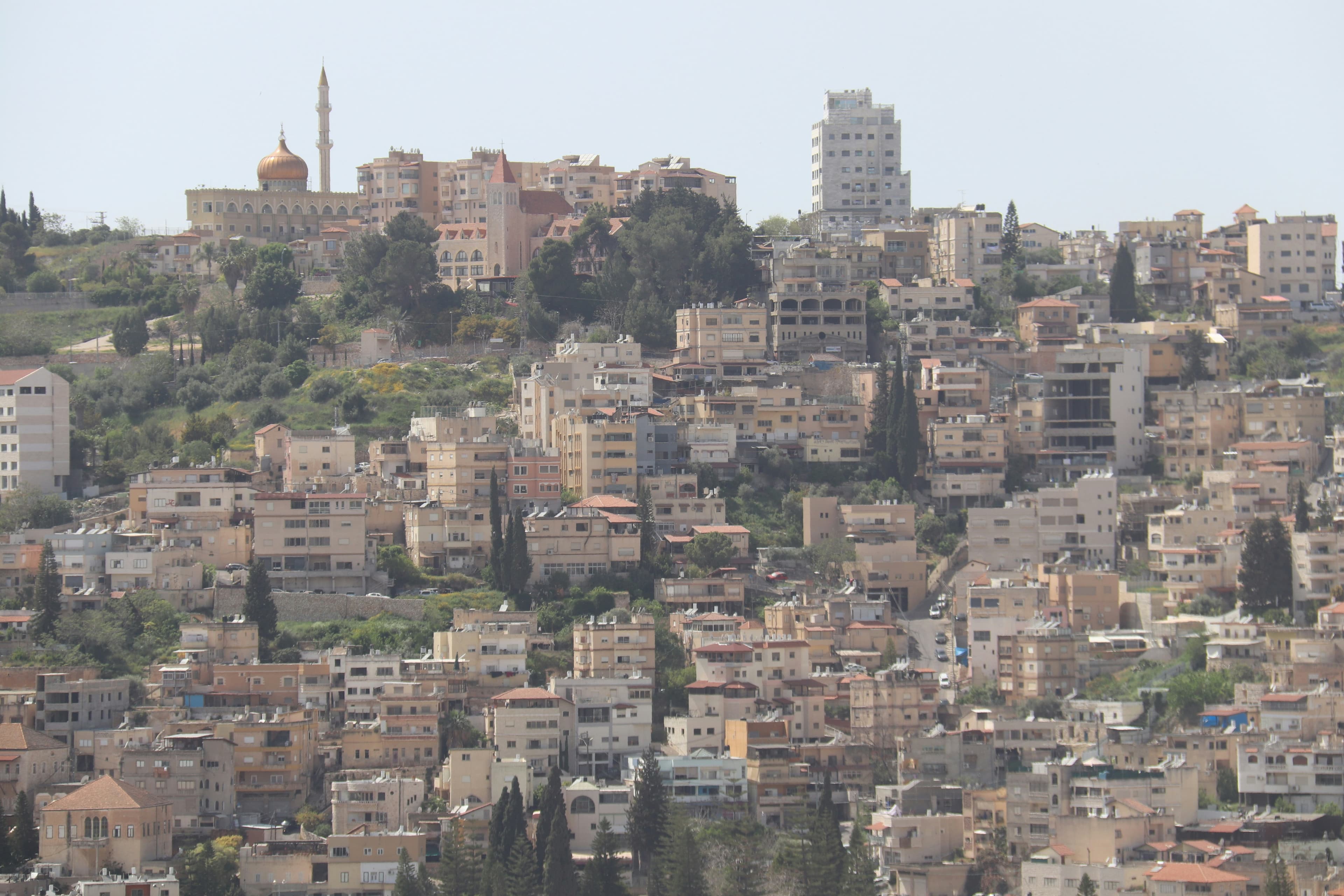 שילה, image 1 of 1