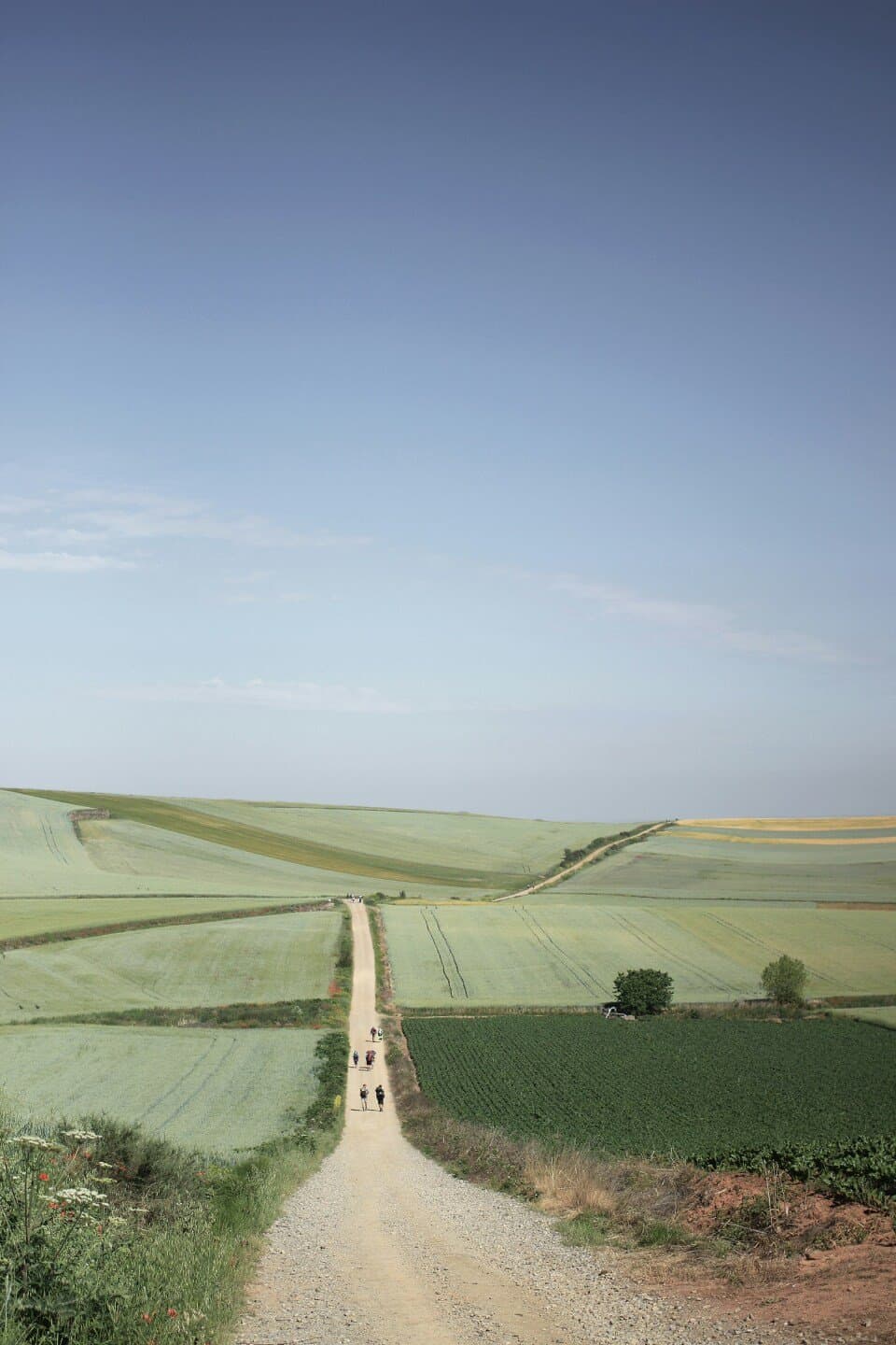 El camino de los ingleses, image 1 of 1