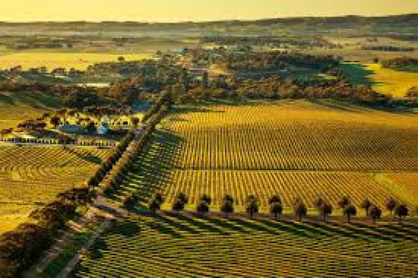 Barossa Valley, image 1 of 1