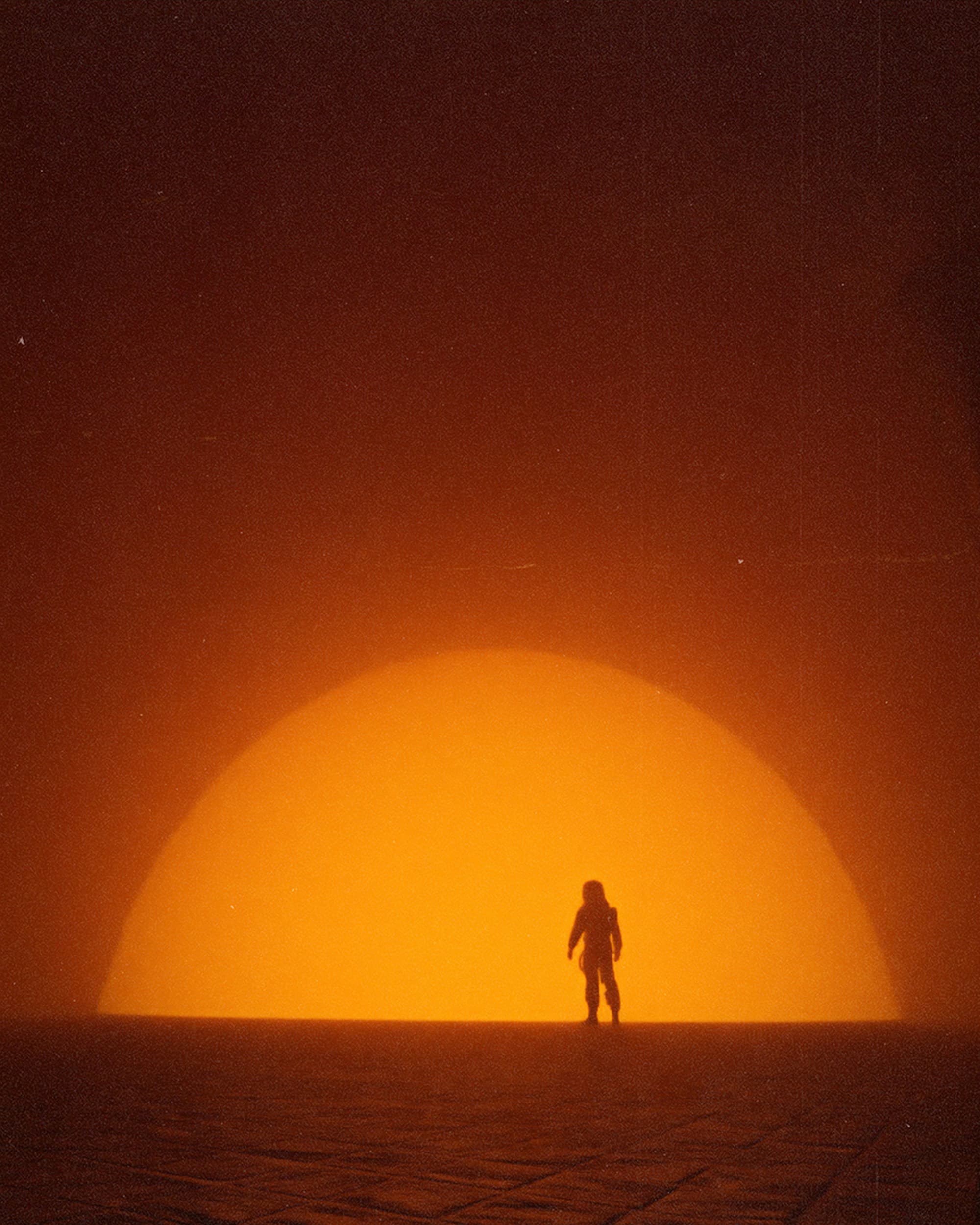 The Warmth of Other Suns, image 1 of 1
