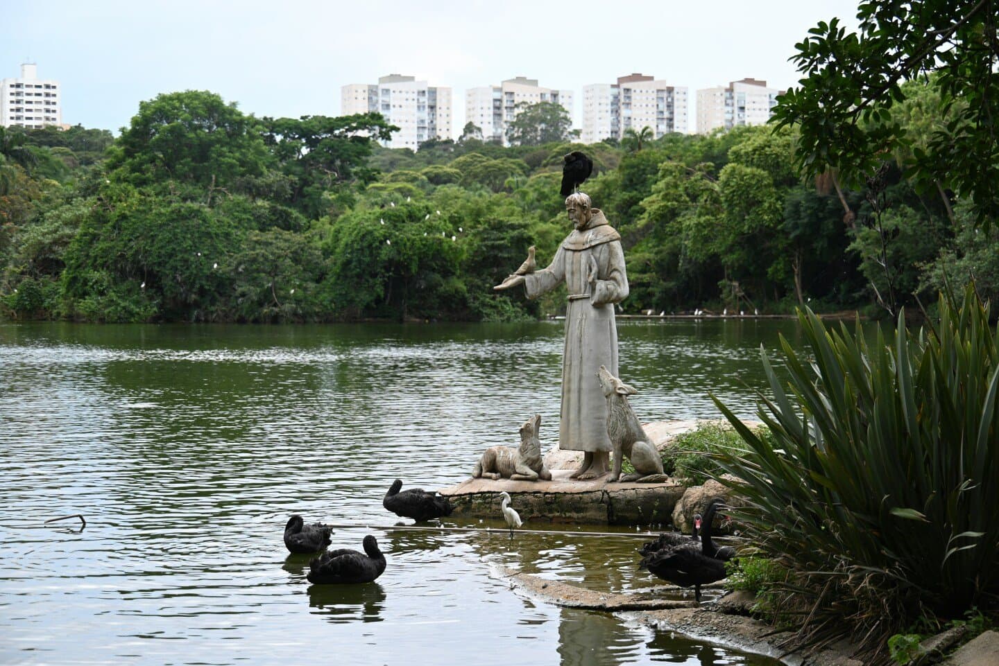 Museu de Arte Sacra de São Paulo, image 1 of 1