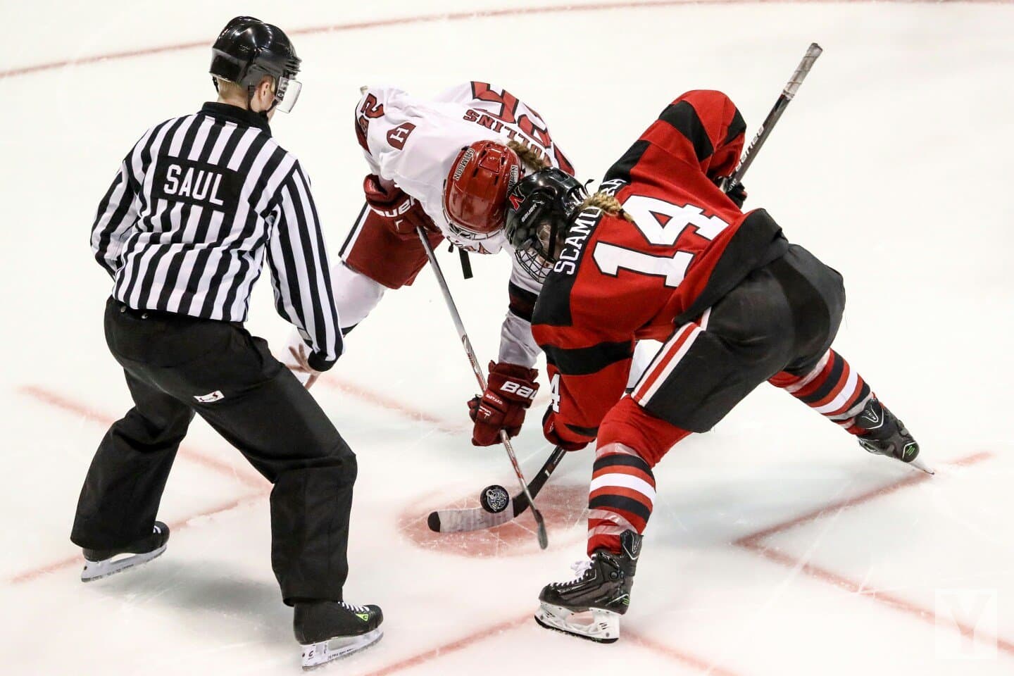 Agganis Arena, image 1 of 1