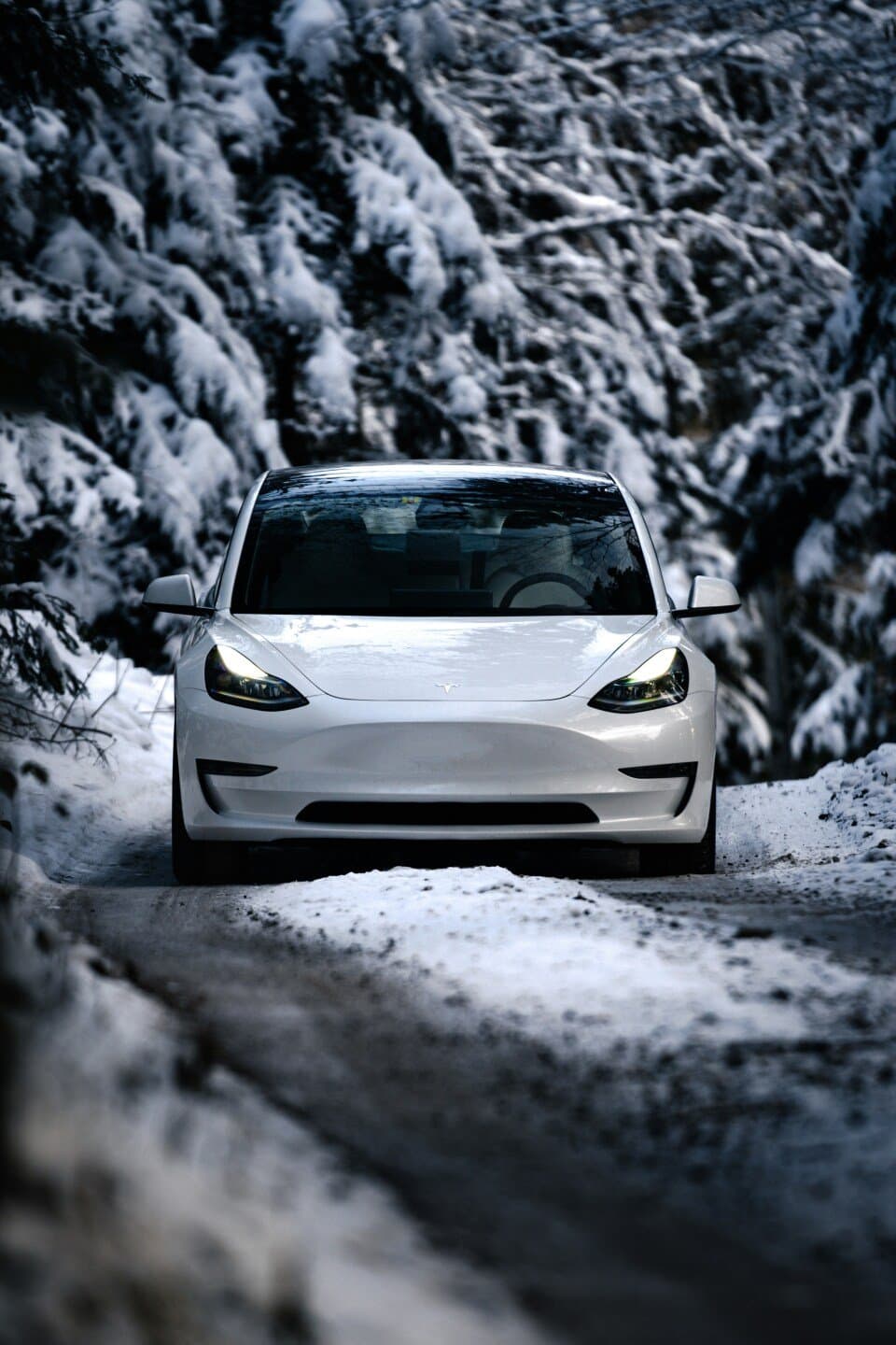 Tesla Model 3 Grande Autonomie AWD, image 1 of 1