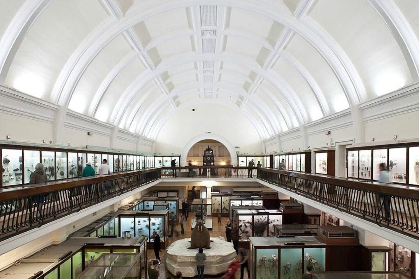 Horniman Museum and Gardens, image 1 of 1